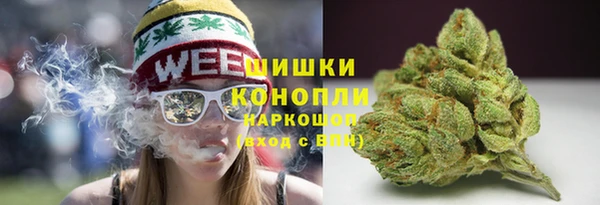 прущий лед Магас