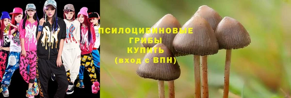 шишки Магадан