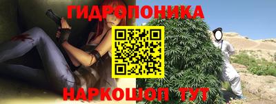 шишки Кандалакша