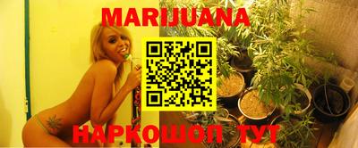 шишки Кандалакша