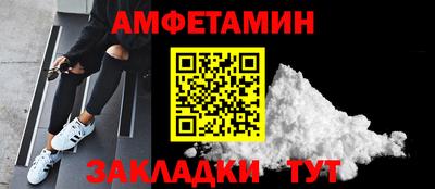 шишки Кандалакша