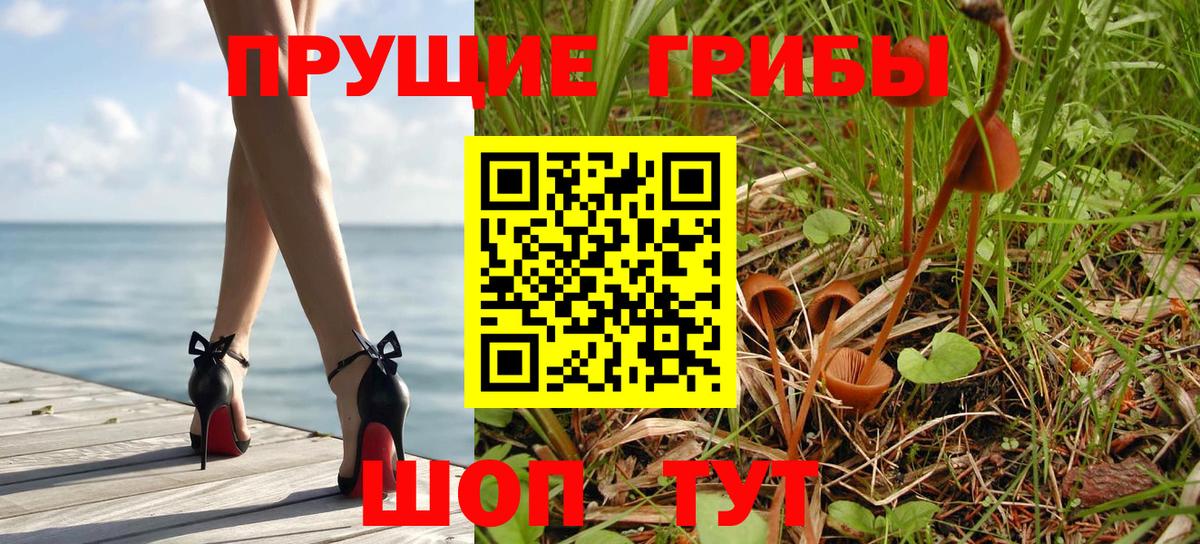 Галлюциногенные грибы Psilocybine cubensis  Вход с VPN  Мыски 